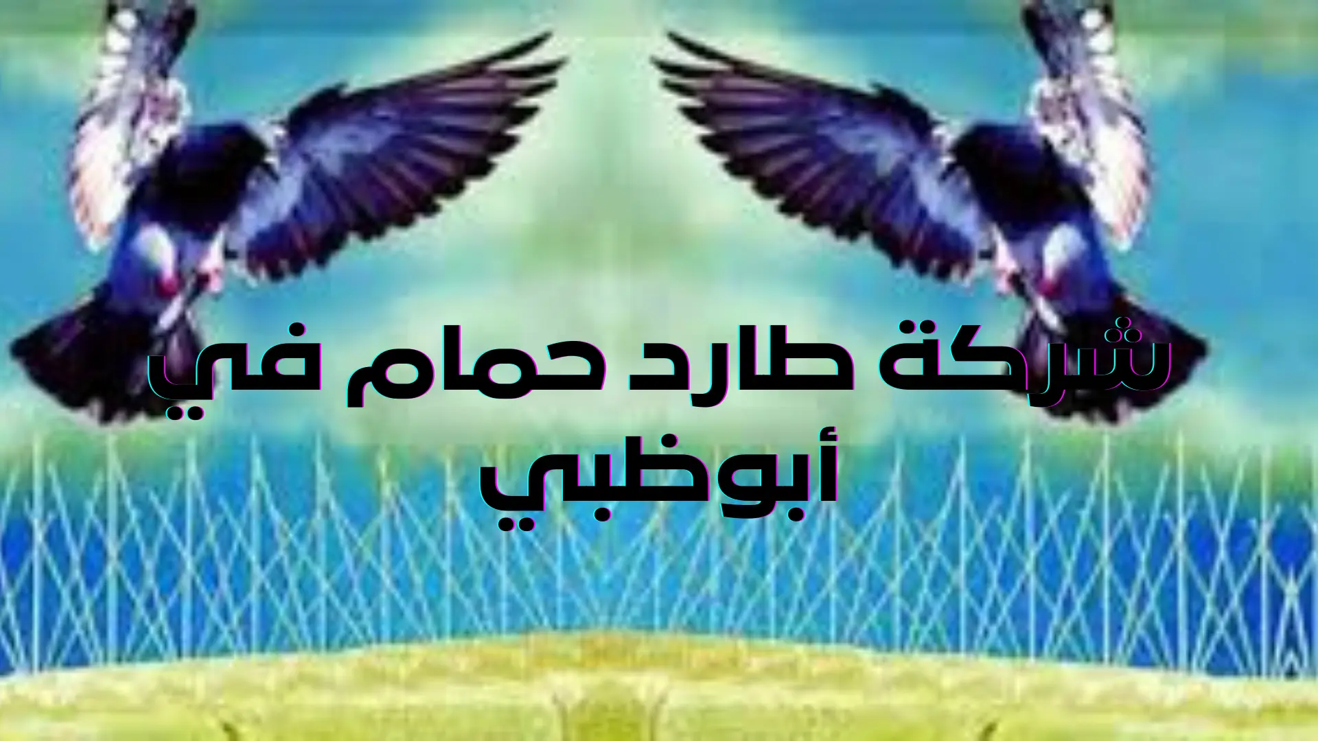 شركة طارد حمام في أبوظبي (1)