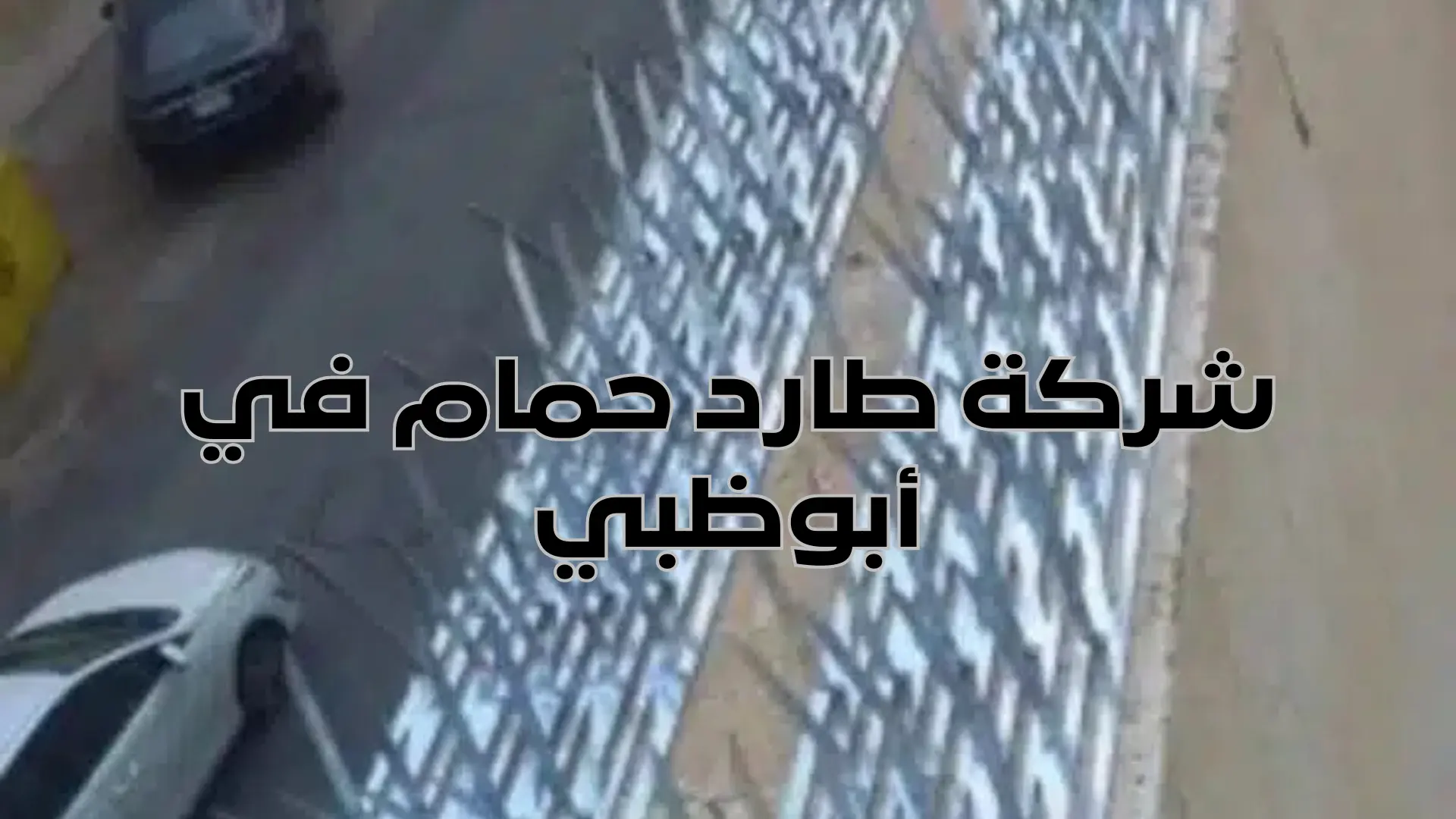 شركة طارد حمام في أبوظبي (2)