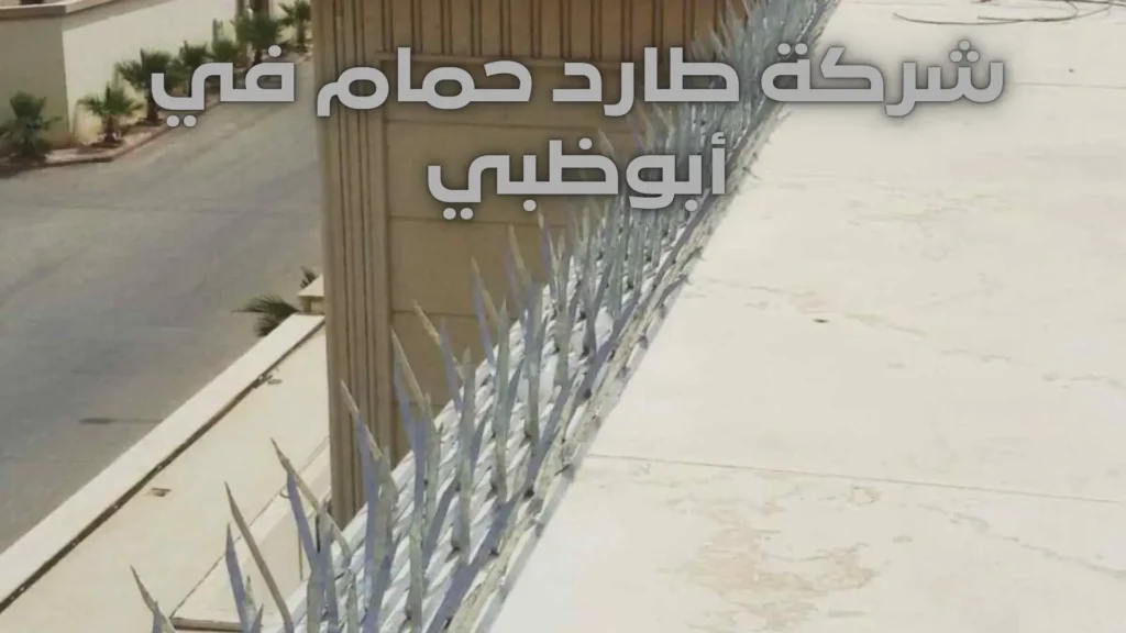 شركة طارد حمام في أبوظبي شركة طارد حمام في أبوظبي (3)