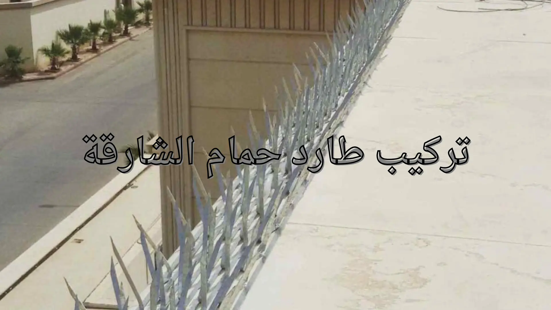 تركيب طارد حمام الشارقة (1)