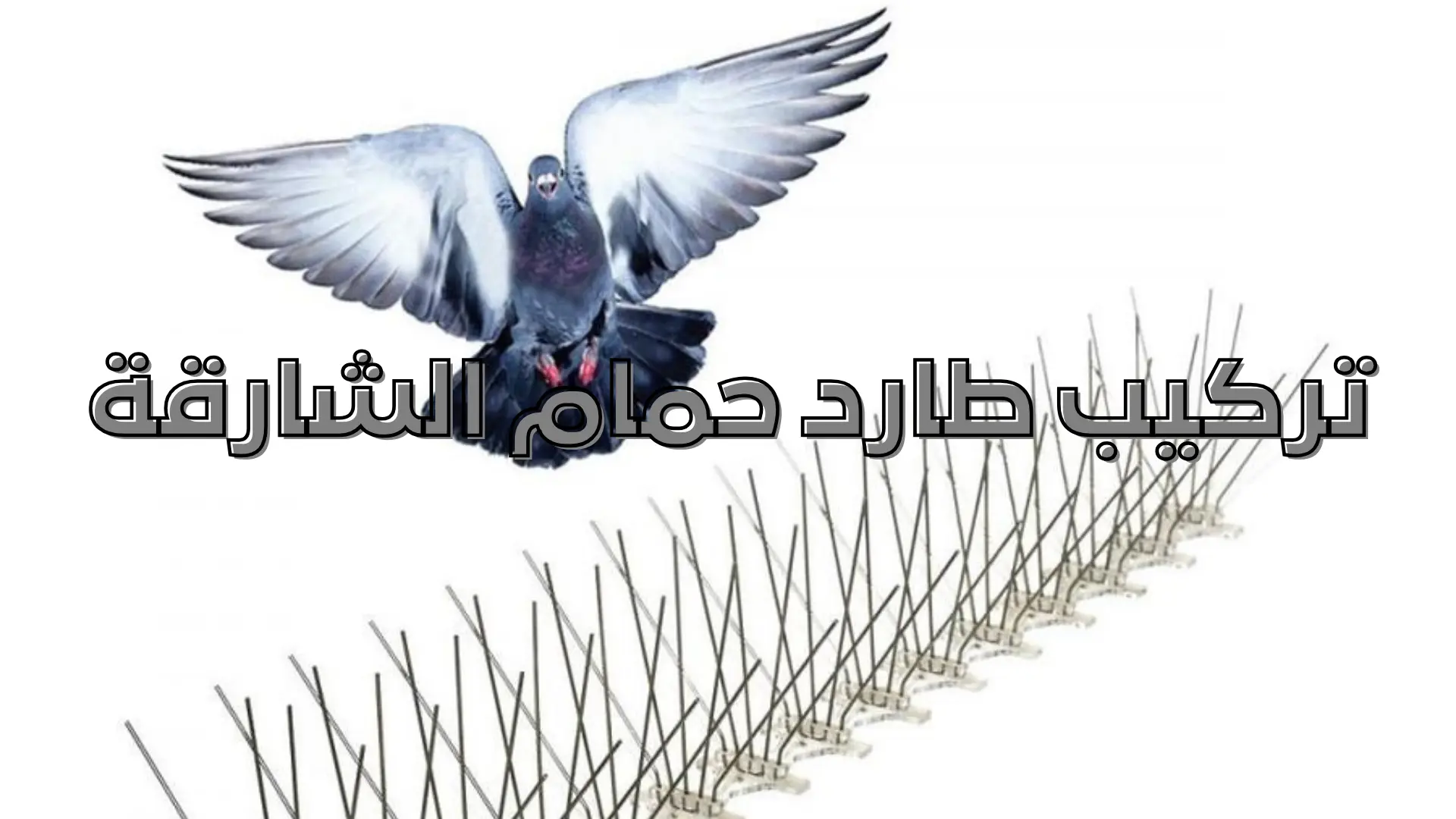 تركيب طارد حمام الشارقة