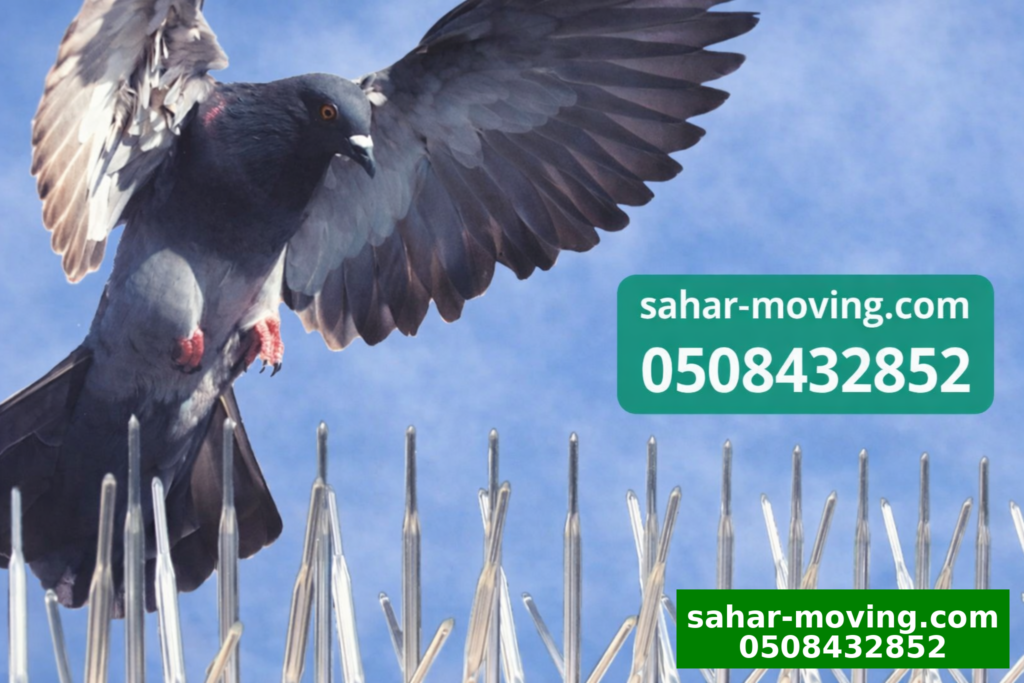 تركيب شبك حمام الفجيرة